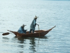 Mystery of the sea view